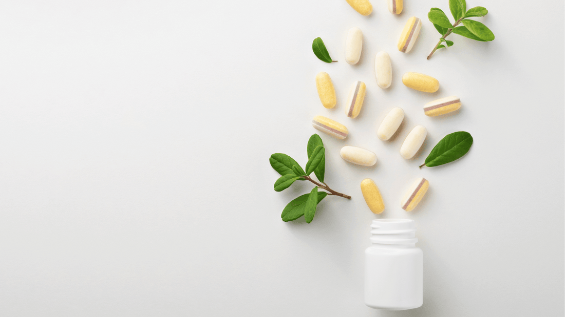 What Anti-Aging Supplements Does Harvard Scientist David Sinclair Take